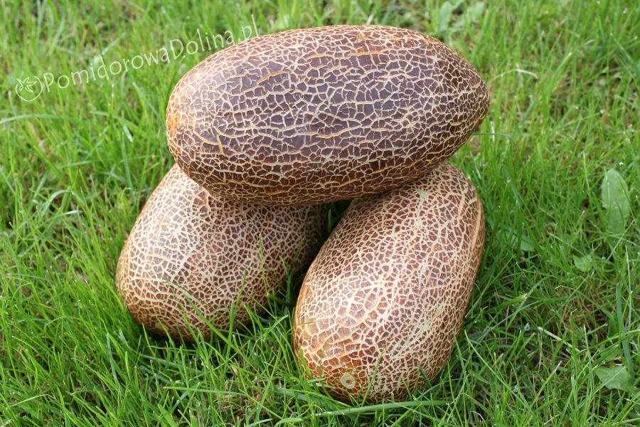 সম্পর্কিত ছবি